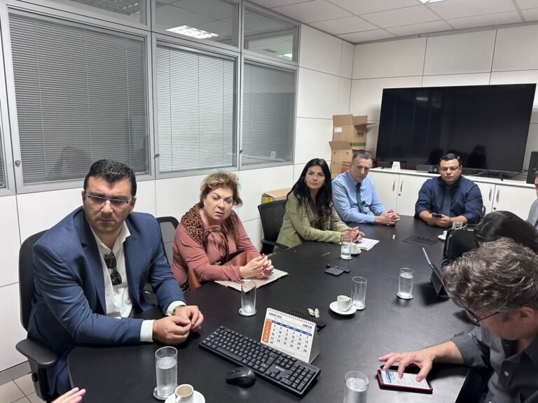 Aladim e vereadores foram a Brasília em busca de mais recursos