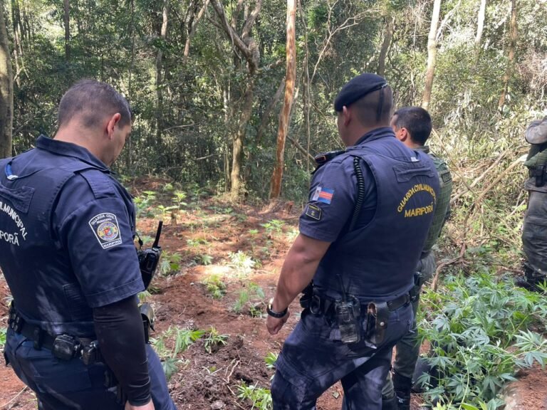 Polícia Federal define regras para porte de arma de fogo por GCMs