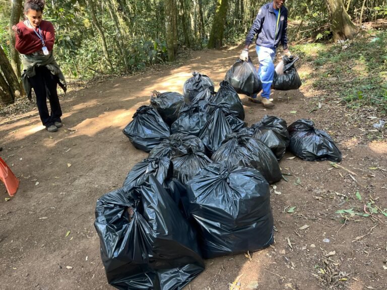 Mutirões ambientais mobilizam voluntários em Mairiporã