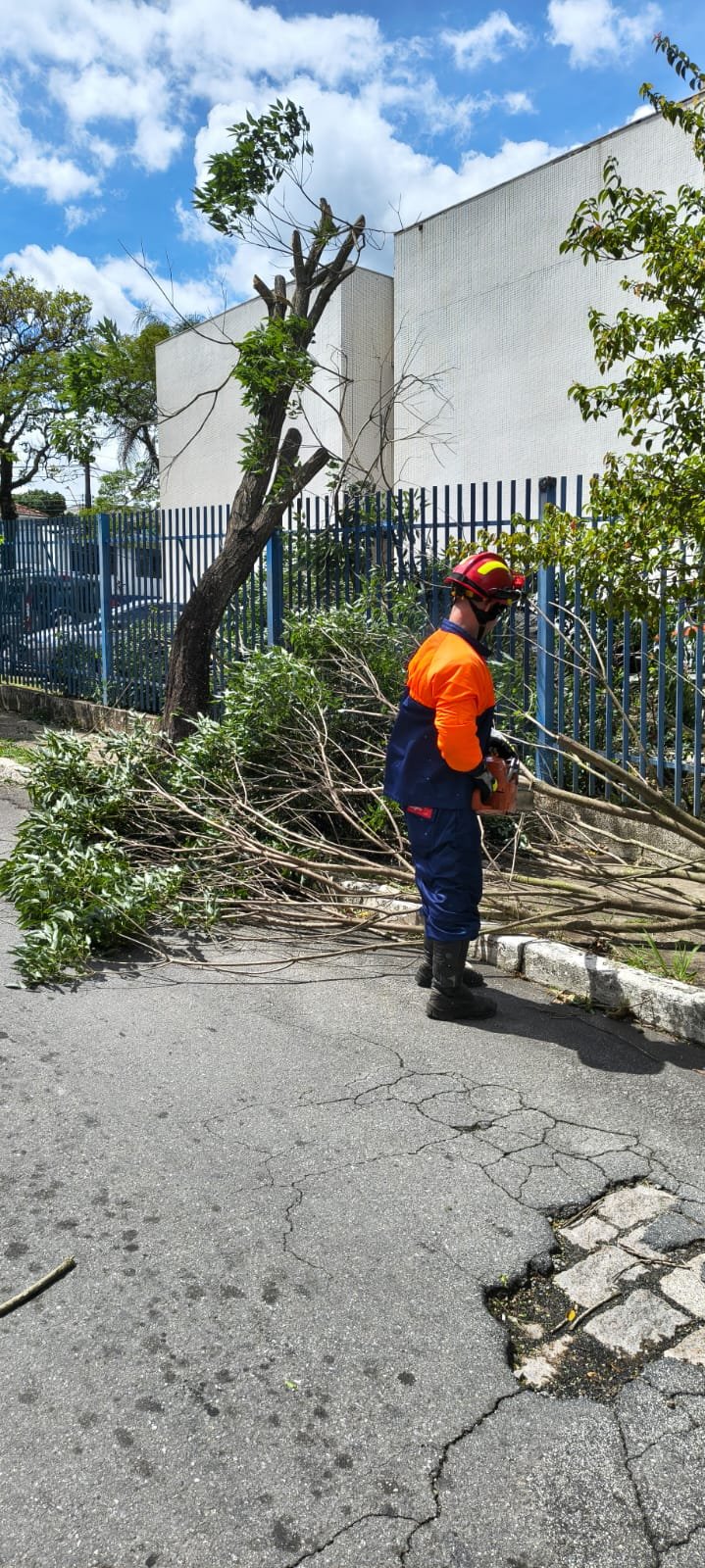 Rajadas de vento de 82 km/h causaram estragos na cidade