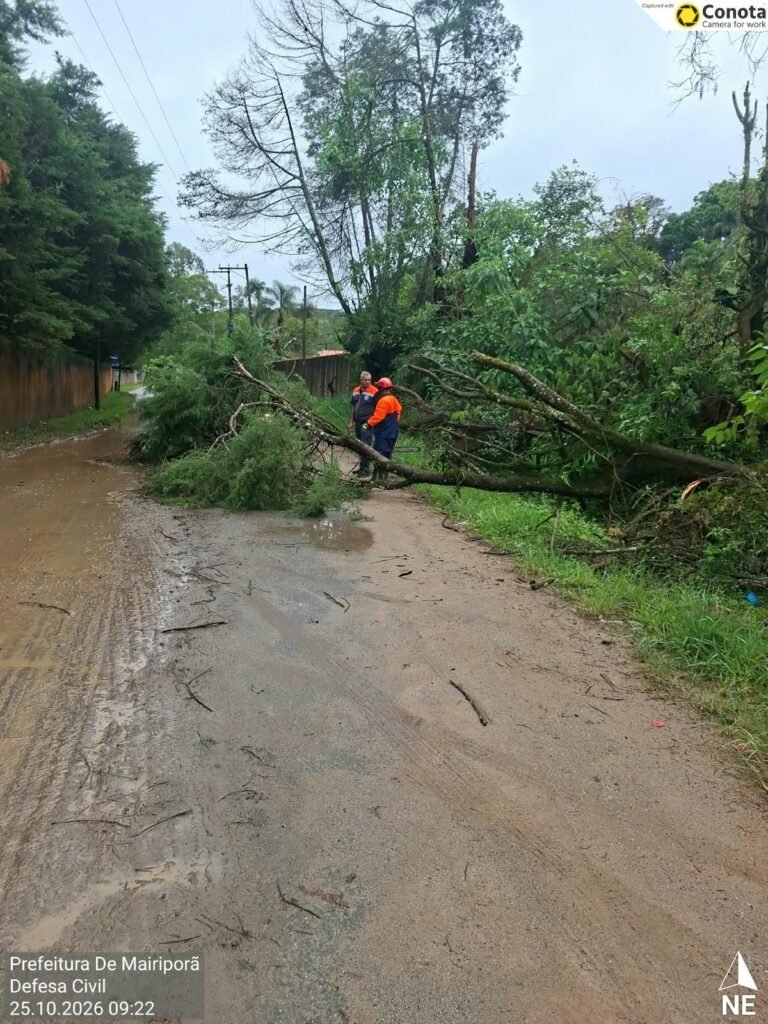Chuvas provocam deslizamento de terra no bairro Hortolândia; queda de árvores em outros bairros