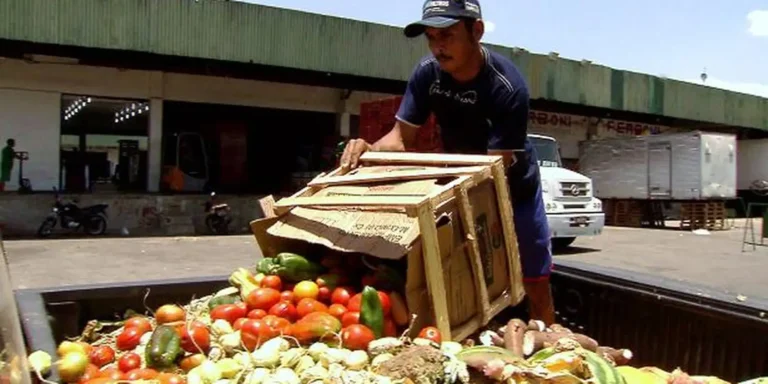 Campanha busca engajamento para reduzir desperdício de alimento